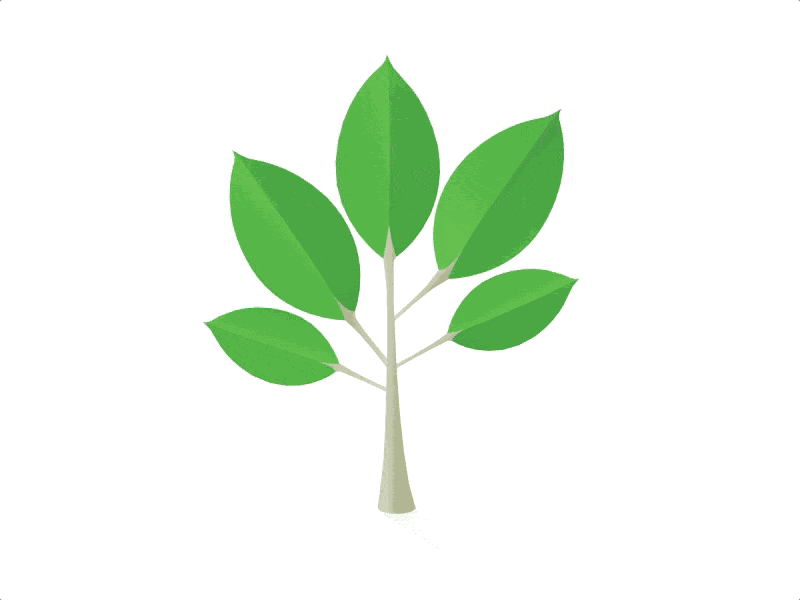 Growing Plant